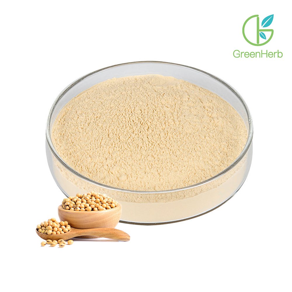 Soy Protein Isolate Powder close‑up texture detail