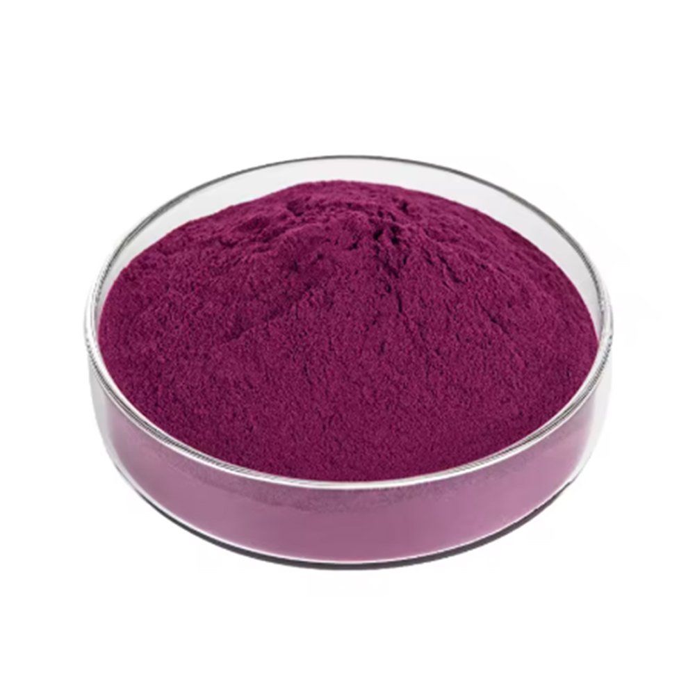 Dark purple Purple Carrot Juice Powder fine powder detail