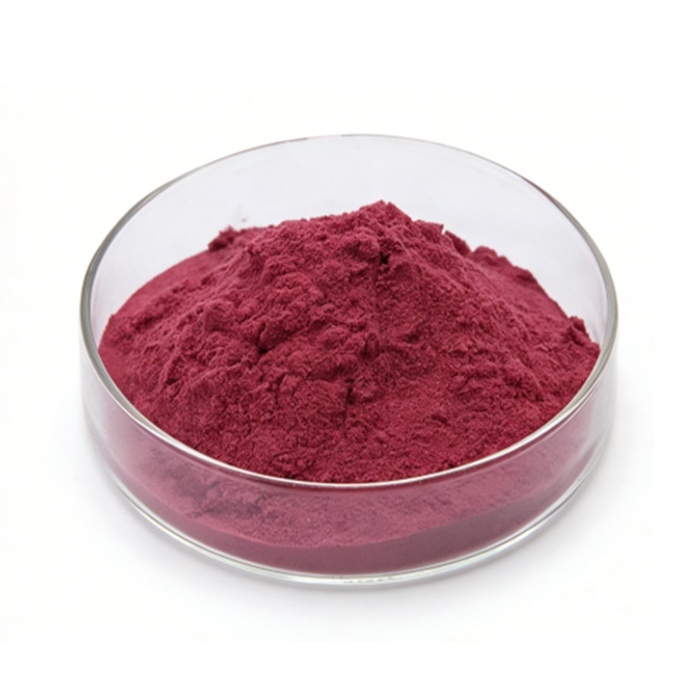 Light brown Rhodiola Rosea Extract fine powder detail