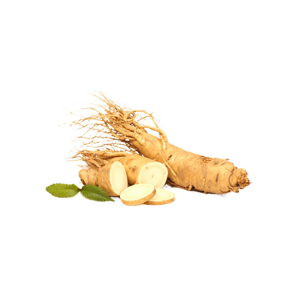 Angelica sinensis root macro photography herbal powder