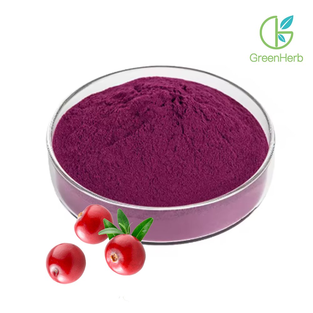 Cranberry Juice Powder close-up texture detail