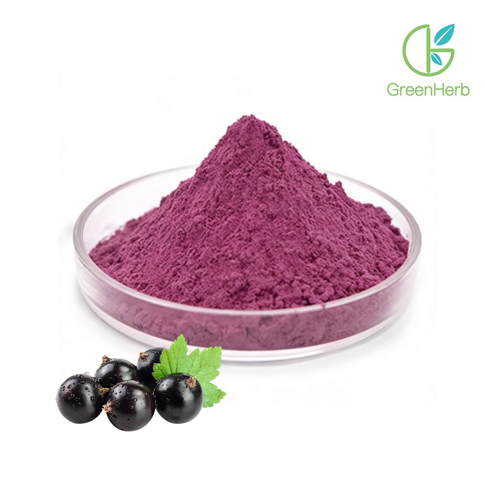 Elderberry powder1.jpg