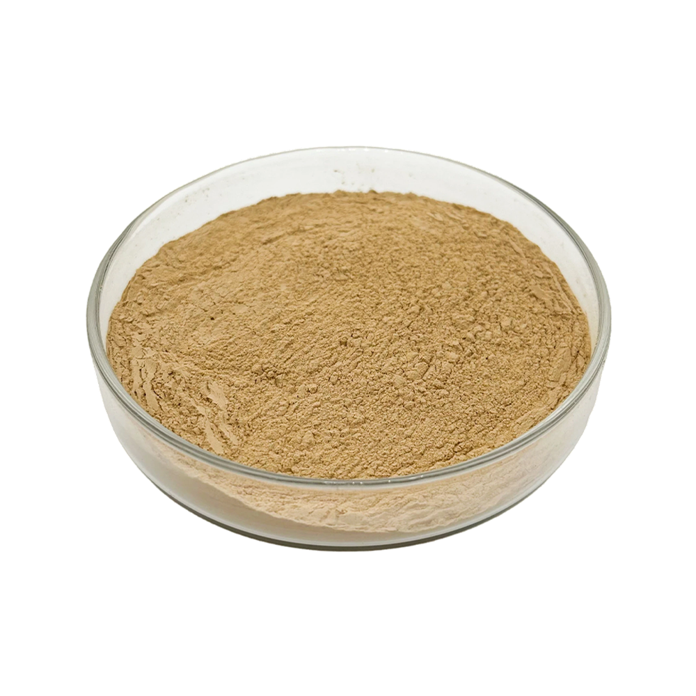 Light brown Milk Thistle Extract fine powder detail
